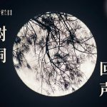 树洞回声