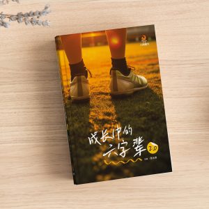 成长中的六字辈 2.0