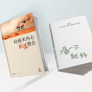 砥砺前行丛书