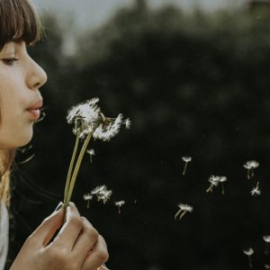 文创支持卷
